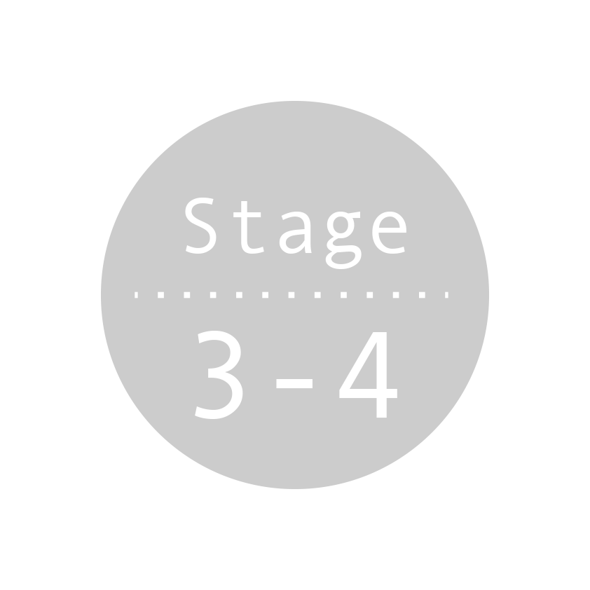 stage3-4